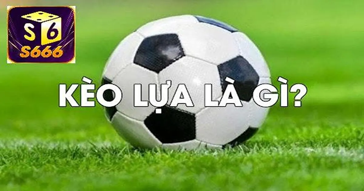 Kèo Lựa: Giải Nghĩa Khái Niệm Và Cách Bắt Kèo Chuẩn 3 Cách tính tỷ lệ đổi thưởng của kèo lựa