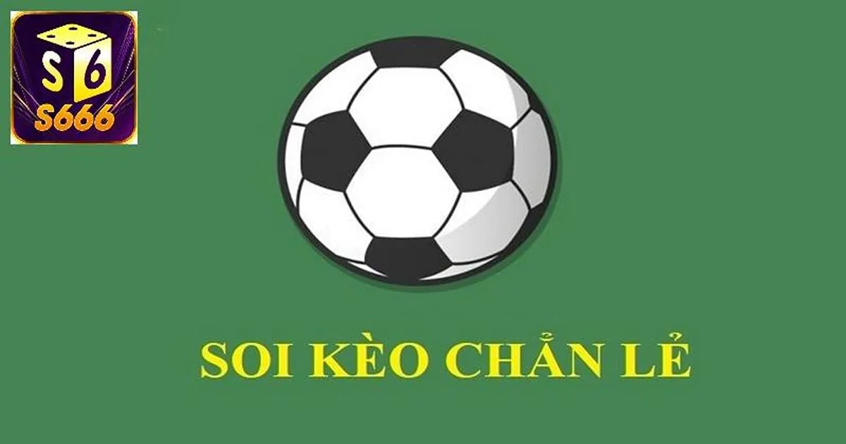 Phân loại các kèo chẵn lẻ thường gặp