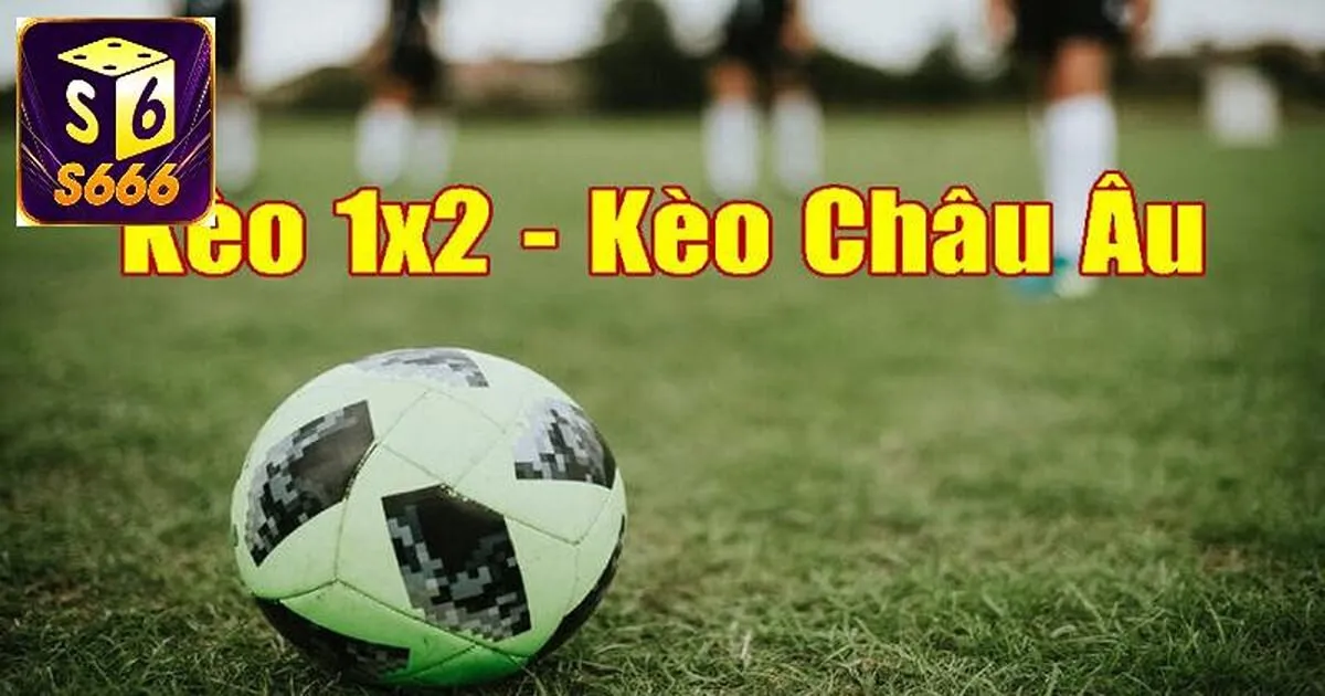 Kèo Châu Âu Và Kinh Nghiệm Tham Gia Hiệu Quả 3 Hướng dẫn chi tiết cách đọc kèo châu âu chính xác nhất