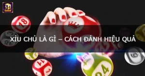 Xỉu Chủ Là Gì Trong Cờ Bạc?
